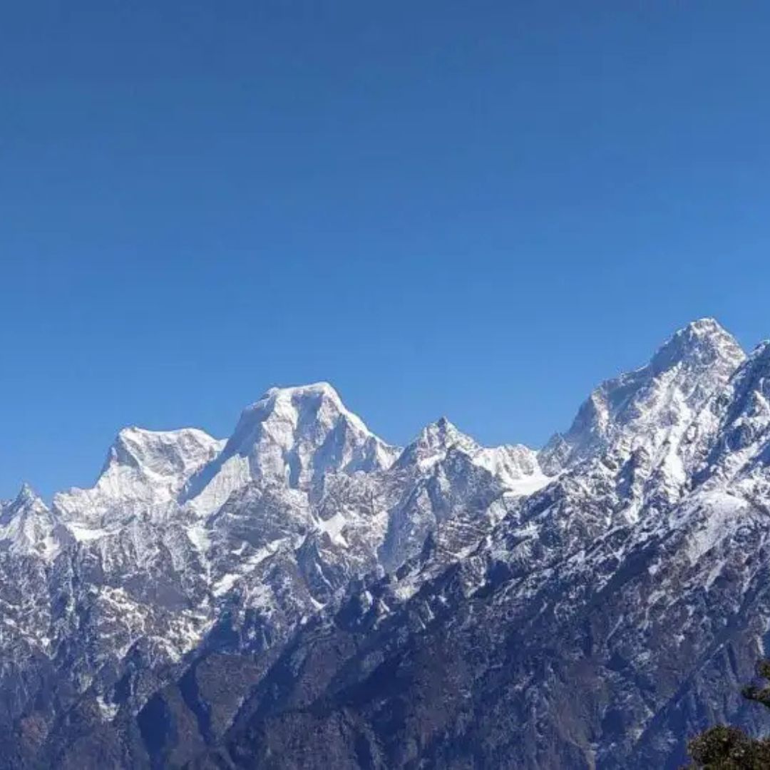 kauri pass