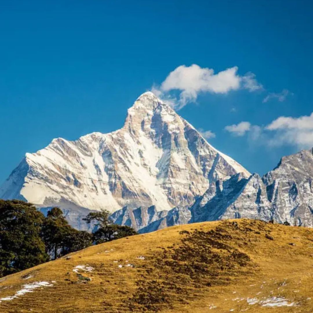 kauri pass