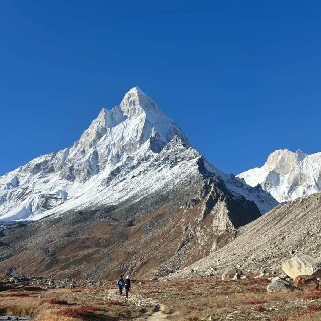 Gaumukh (3)