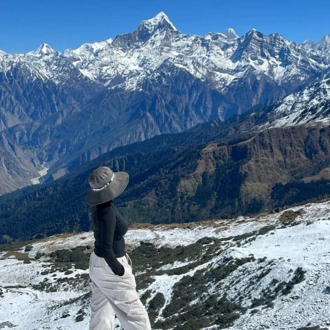 kauri pass