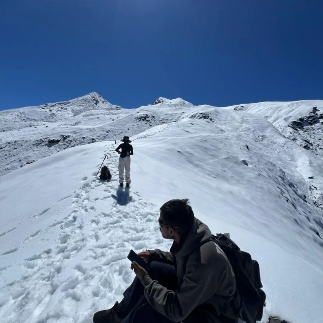 kauri pass