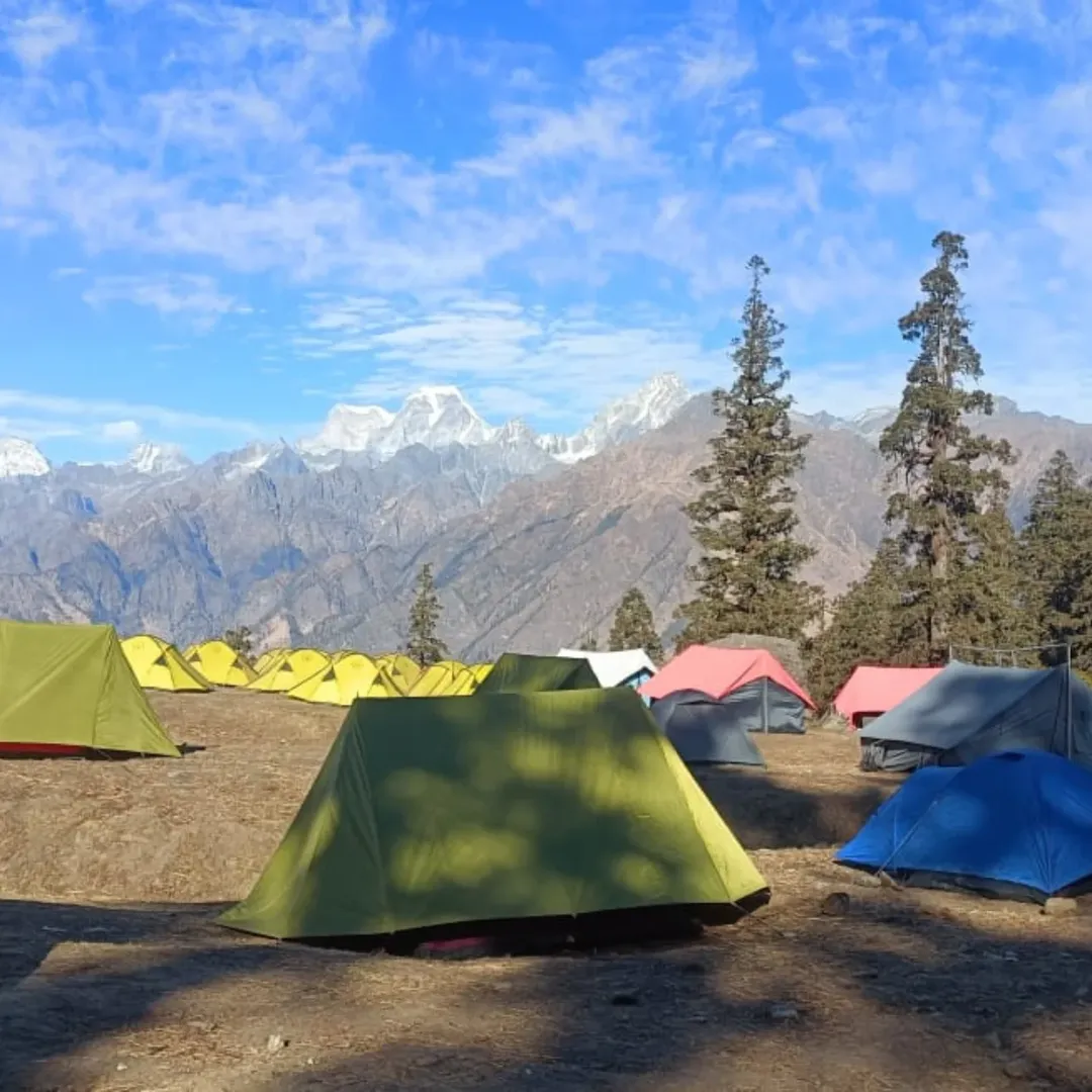 📍Kuari Pass Trek 🤟 ( Lord Curzon Trail ) Book your slot for Upcoming Batches ✅...4N-5D Rishik