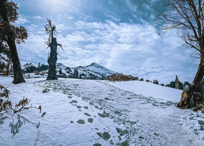 Kedarkantha Trek